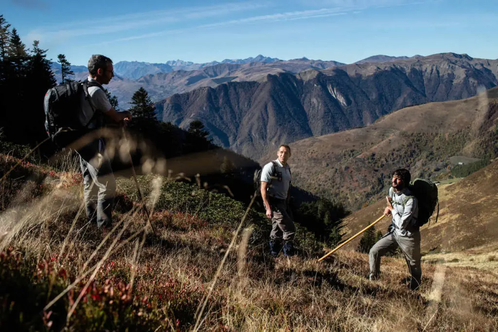 sur les chemins de l'ours