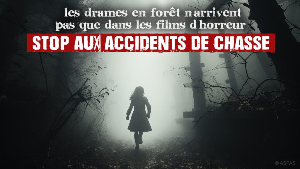 stop aux accidents de chasse