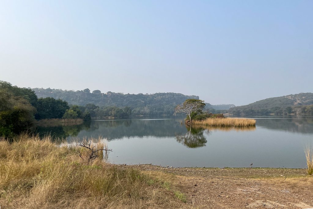 inde rathambore 2025 0046