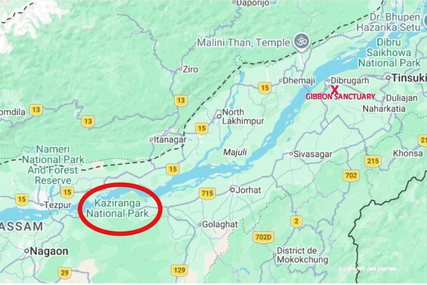 kaziranga gibbons site 2025 0000