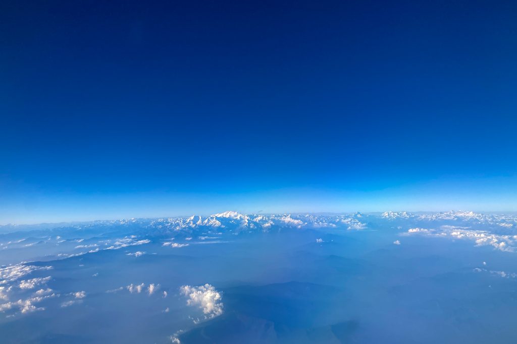 kaziranga gibbons site 2025 0001