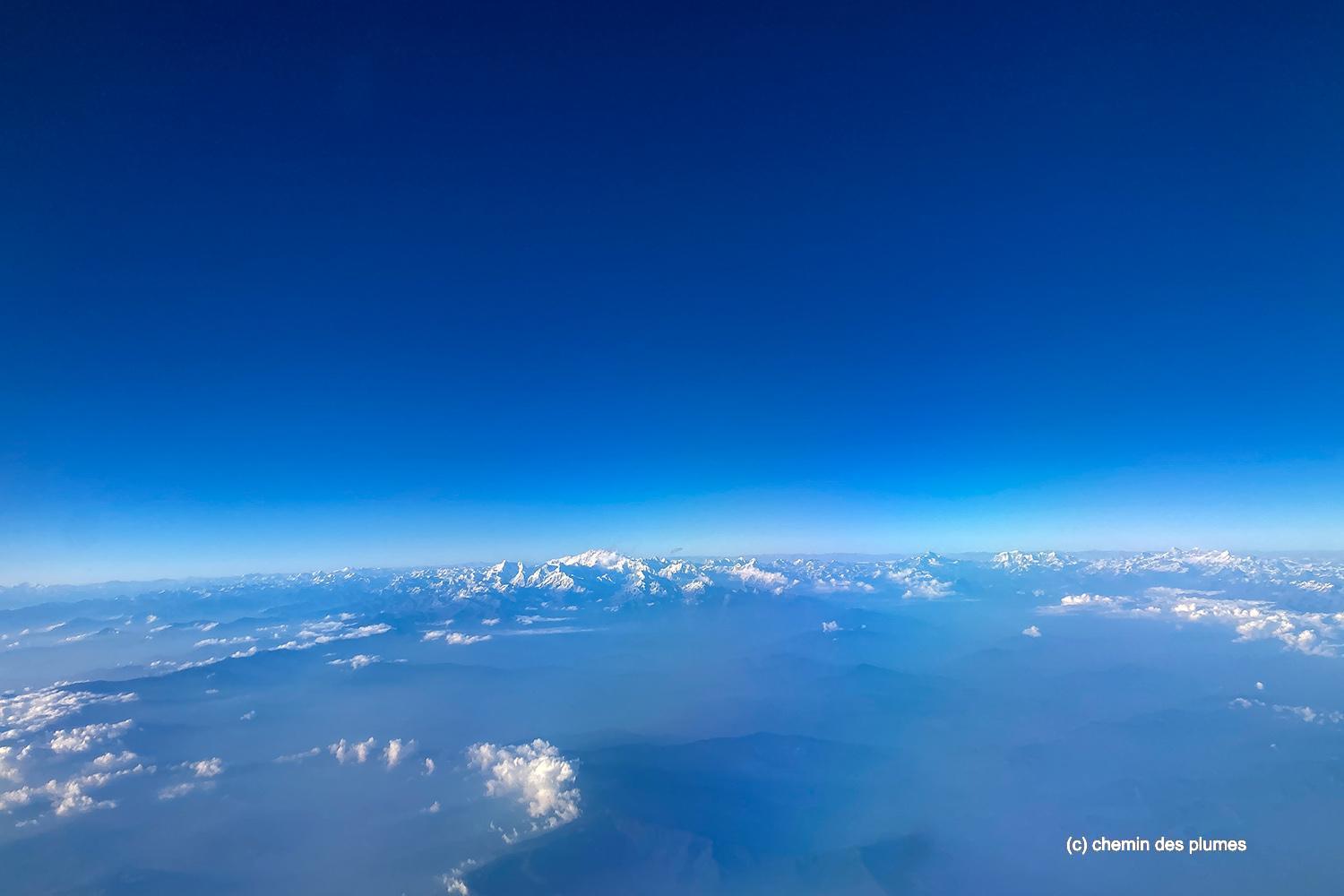 kaziranga gibbons site 2025 0001