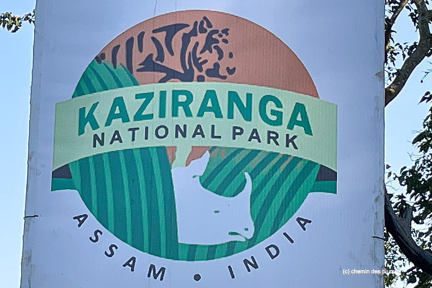 kaziranga gibbons site 2025 0002