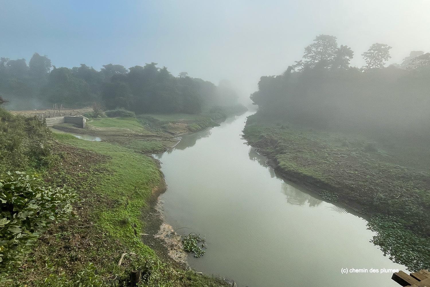 kaziranga gibbons site 2025 0006