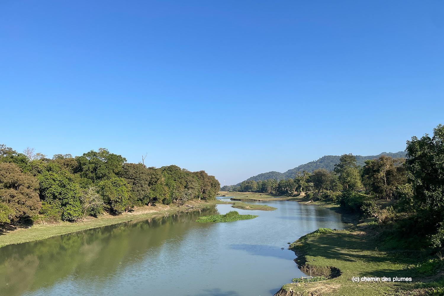 kaziranga gibbons site 2025 0036
