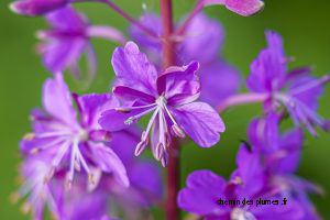 bb nord w 2021 0008 300x200 copie