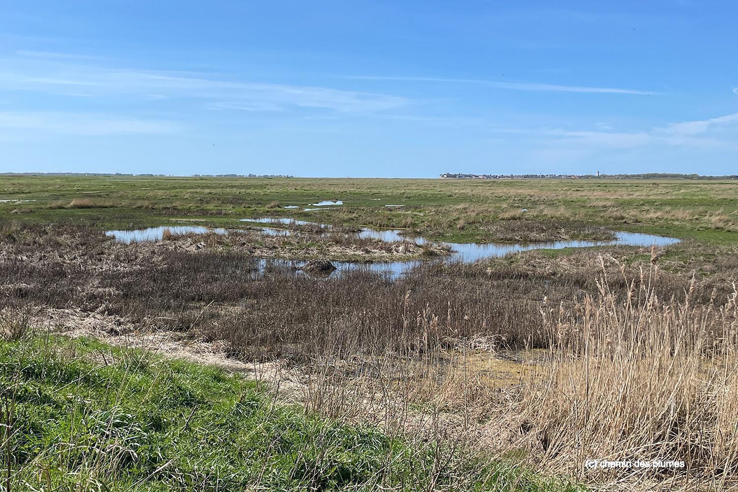 baie de somme 2026 0004