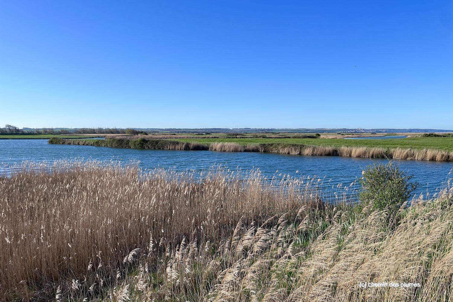 baie de somme 2026 0006