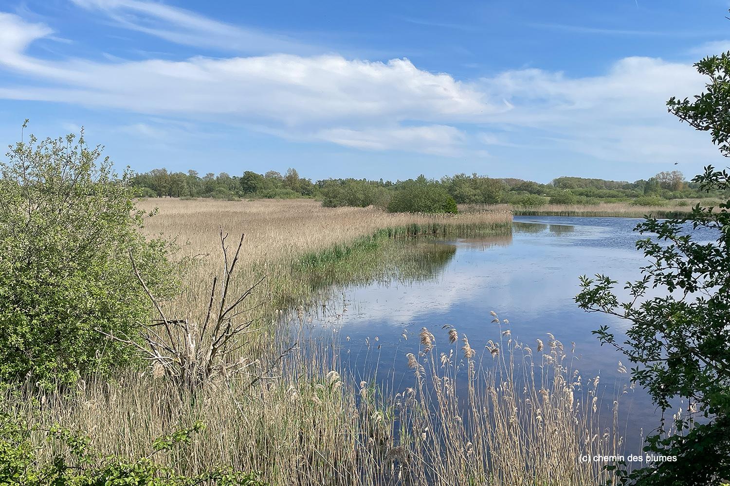 baie de somme 2026 0041