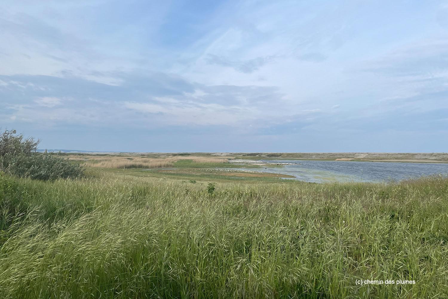 baie de s mai2026 0000