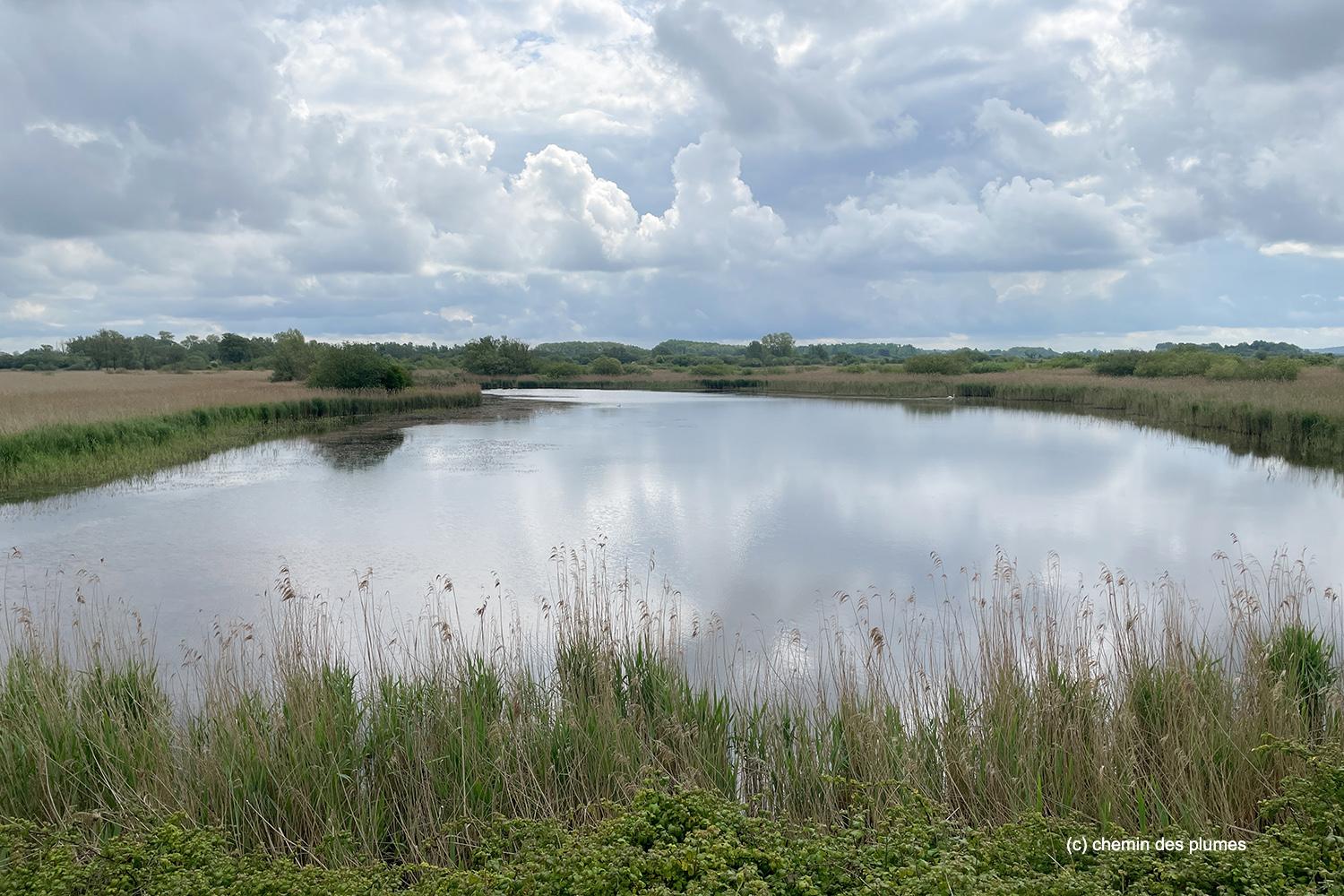 baie de s mai2026 0001 copie