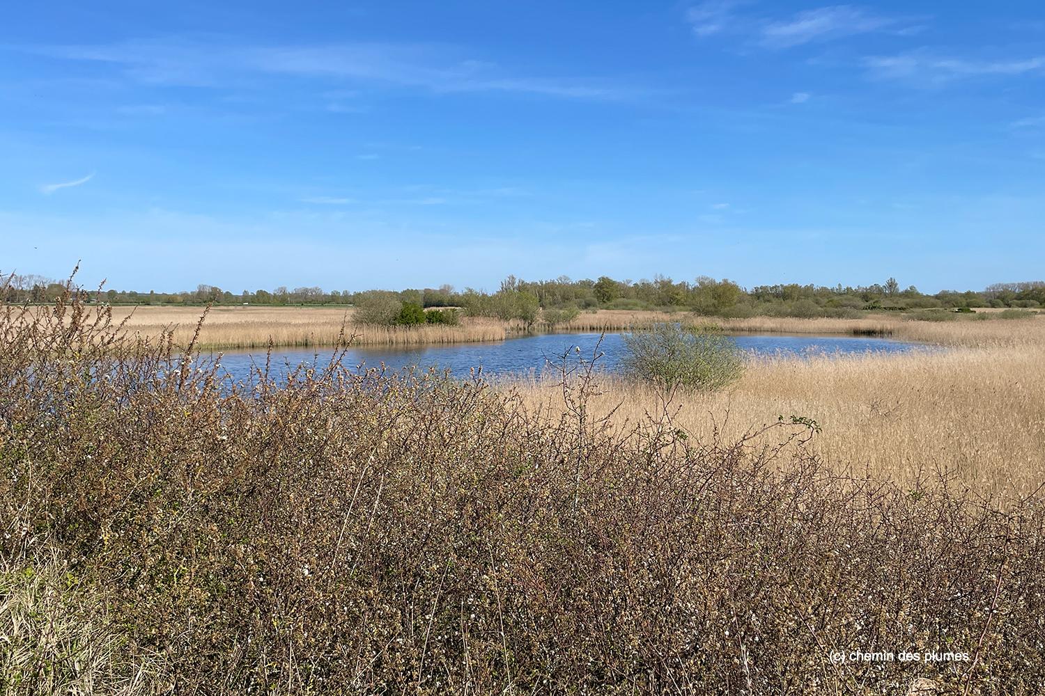 baie de s mai2026 0018