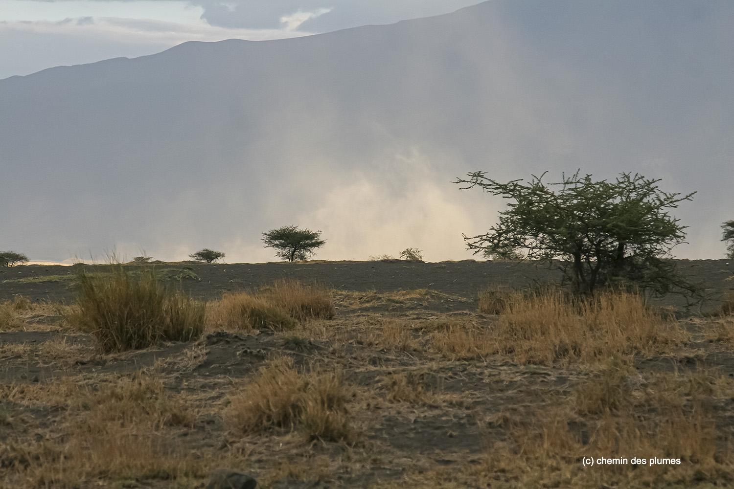 tanzanie 2011 0114